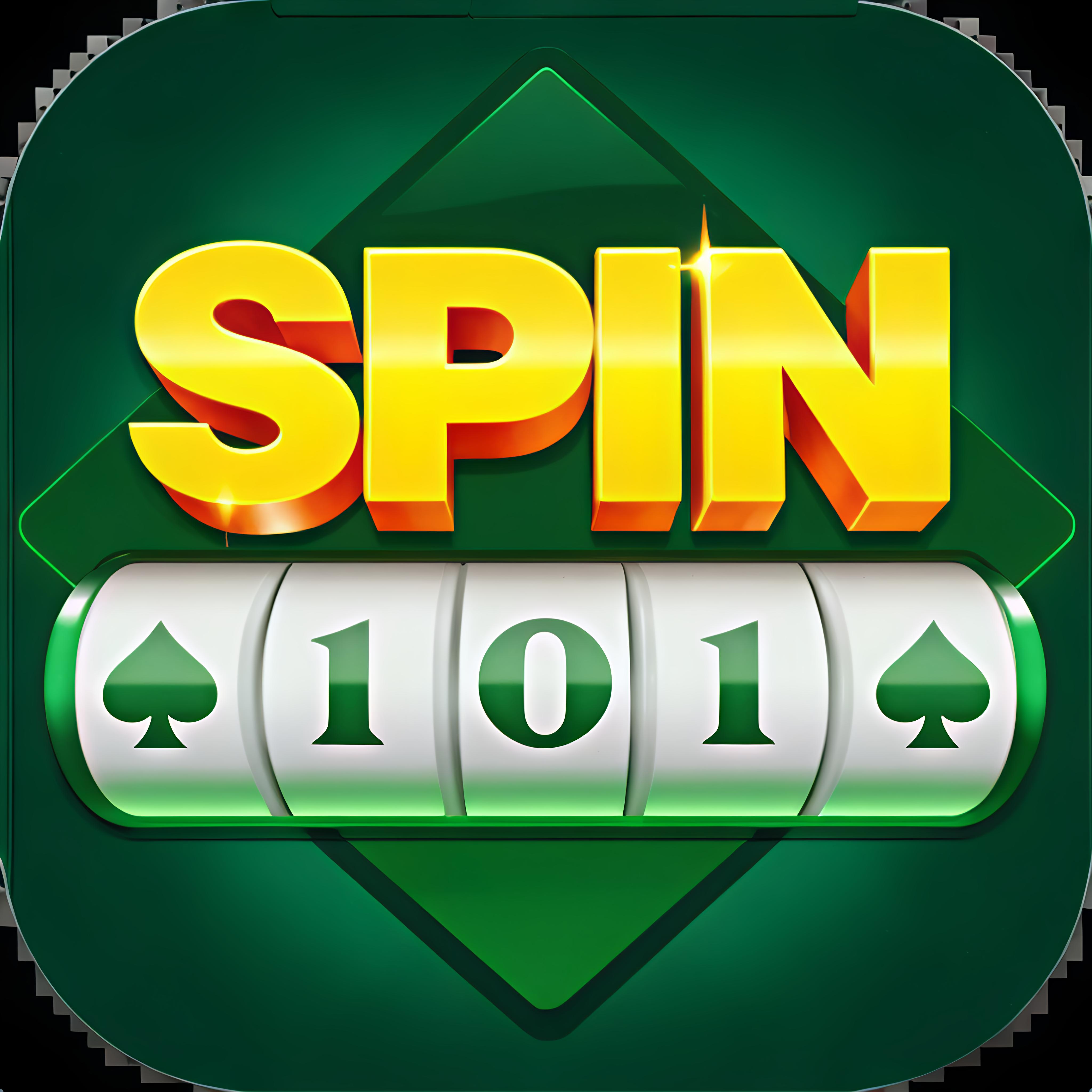 Image for SPIN 101